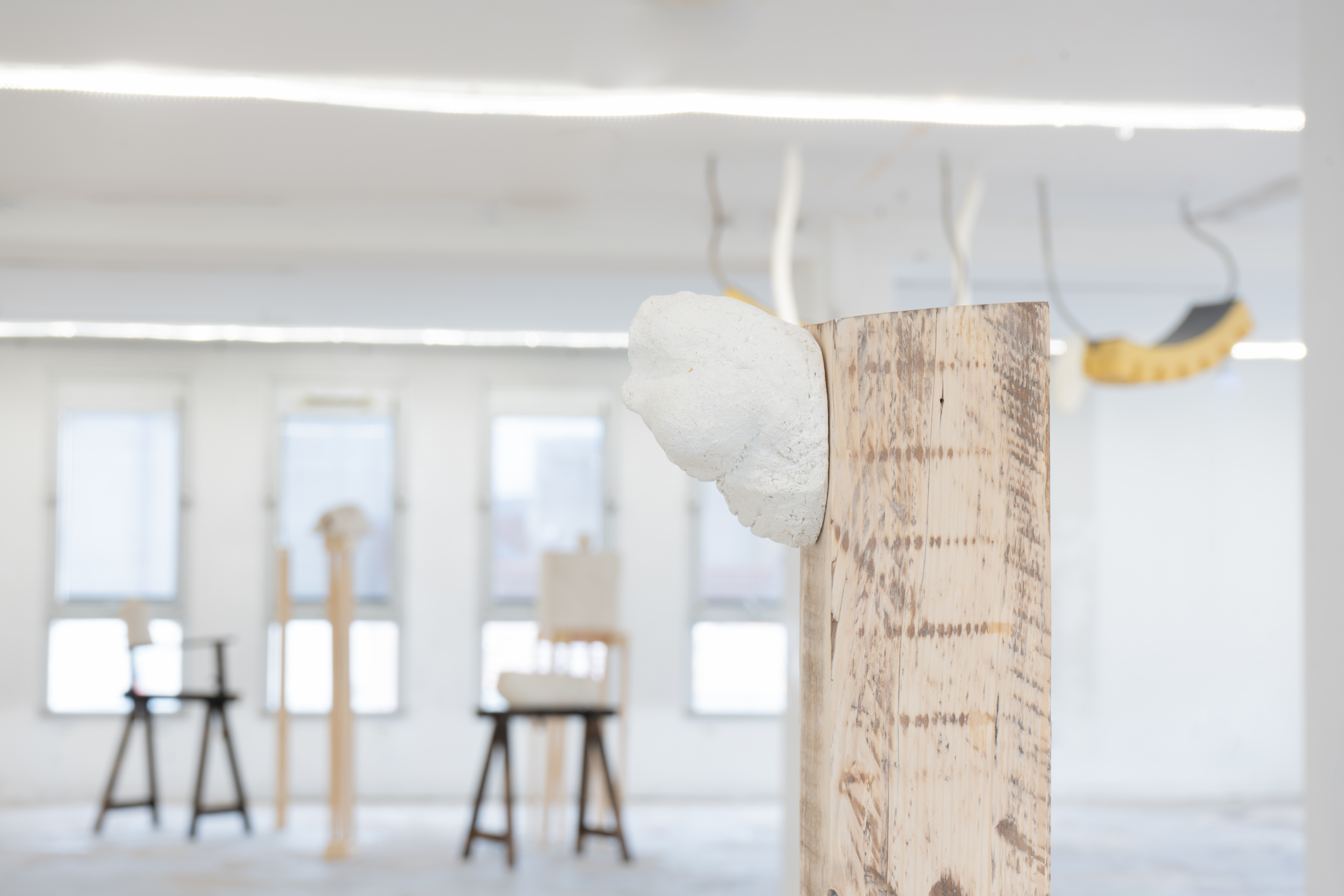 Exhibition view, Vivos voco — I summon the living, Tour Orion, Montreuil, 2024. Photo © Pierre Sérot